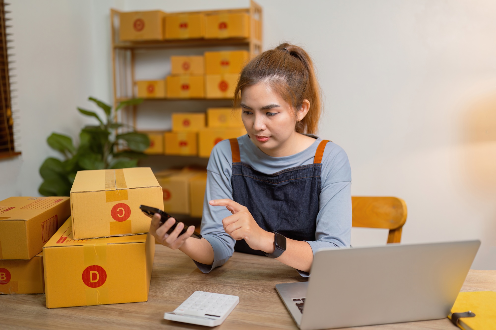 young woman selling online at home business owner business ideas sme