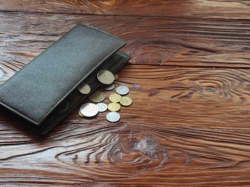 Businesses to Start With No Money